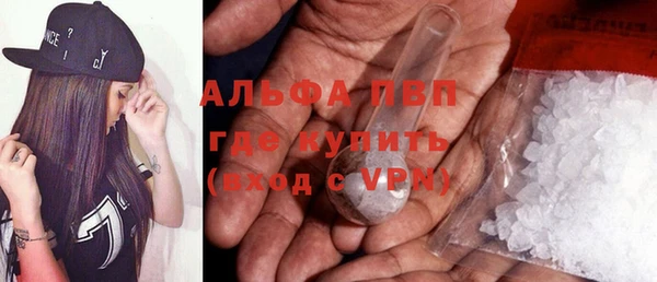 гашик Каменка