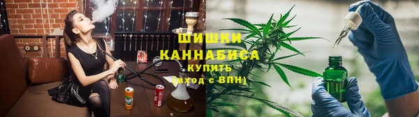 гашик Каменка