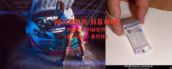 гашик Каменка