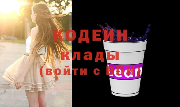 СК Каменногорск