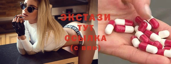 гашик Каменка