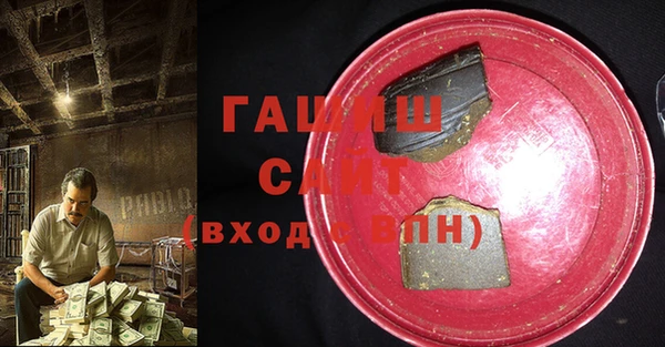 гашик Каменка