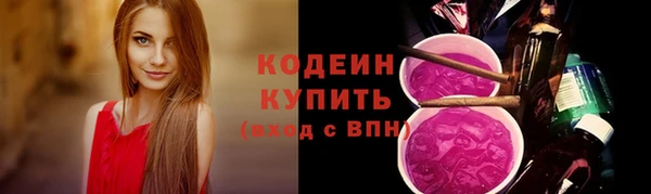 СК Каменногорск