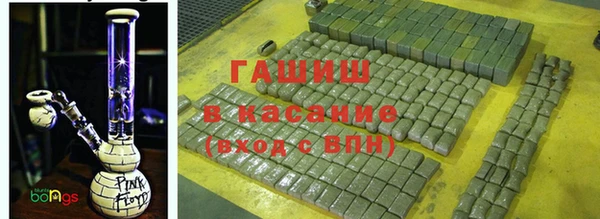 гашик Каменка
