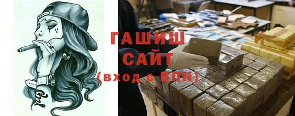 гашик Каменка