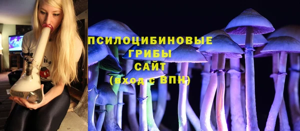 гашик Каменка