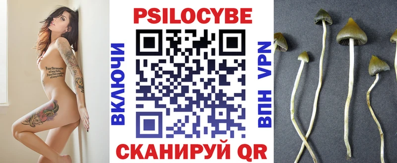 где продают   Уфа  Галлюциногенные грибы мицелий 